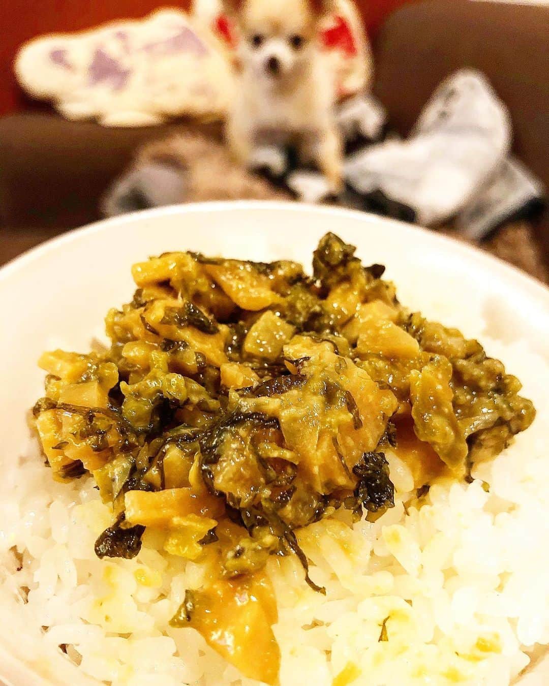 橋本塁のグルメインスタ