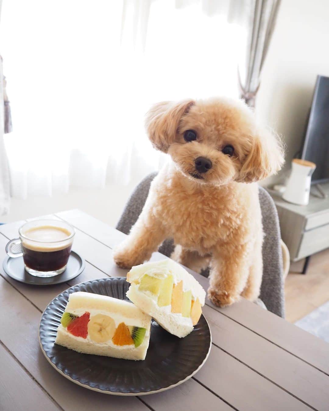 くるみたんのグルメインスタ