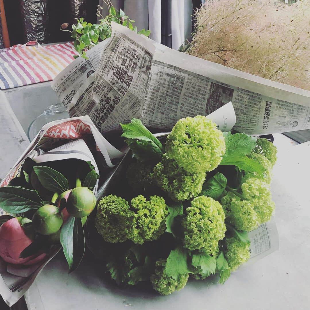 ひうらさとるのインスタグラム：「今週のお花。届いてすぐ水揚げ。 クレマチスの角度が独特過ぎてぴょんぴょんしてて、これでいいのかわからないけど、谷口センセイのインスタライブ参考にまとめてみました。 ホワホワのスモークツリーがかわいい❤︎ ピンクと緑の色合いがすでに夏だねー。 #谷口セレクト市場直送便」