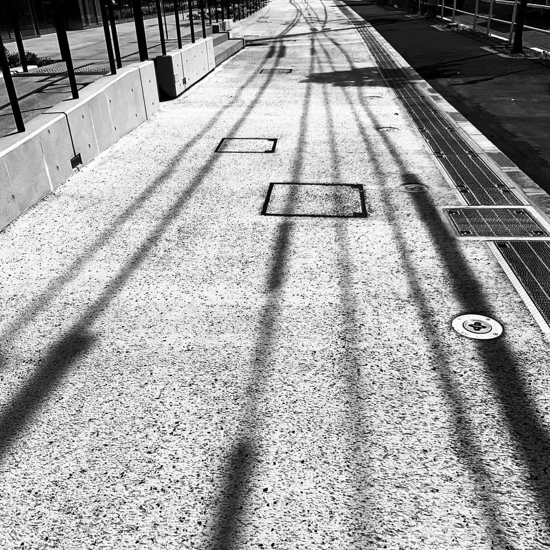 naotakeのインスタグラム：「線 - Lines / iPhone XR & Snapseed, 20200628 . . 貝印のハイオクを入れると早くなった気がする、のは本当に気のせいだったらしい。 . . #spicollective #royalsnappingartists #infamous_family #rsa_main #infinity_photo_cult #2_fineart #jp_gallery_member #jp_gallery_bnw #trb_bnw #wp_bnw  #bnw_life #bnwlife_member #bnw_life_shots #bnw_captures #world_bnw #top_bnw #team_jp_ #team_jp_モノクロ #ig_energy_bw #ig_nihon #streetphotographybnw #igersjp #blackandwhite #bnw #bnwphoto #monochrome #bw #bnwphotography #ShotOniPhone #shotoniphoneXR」
