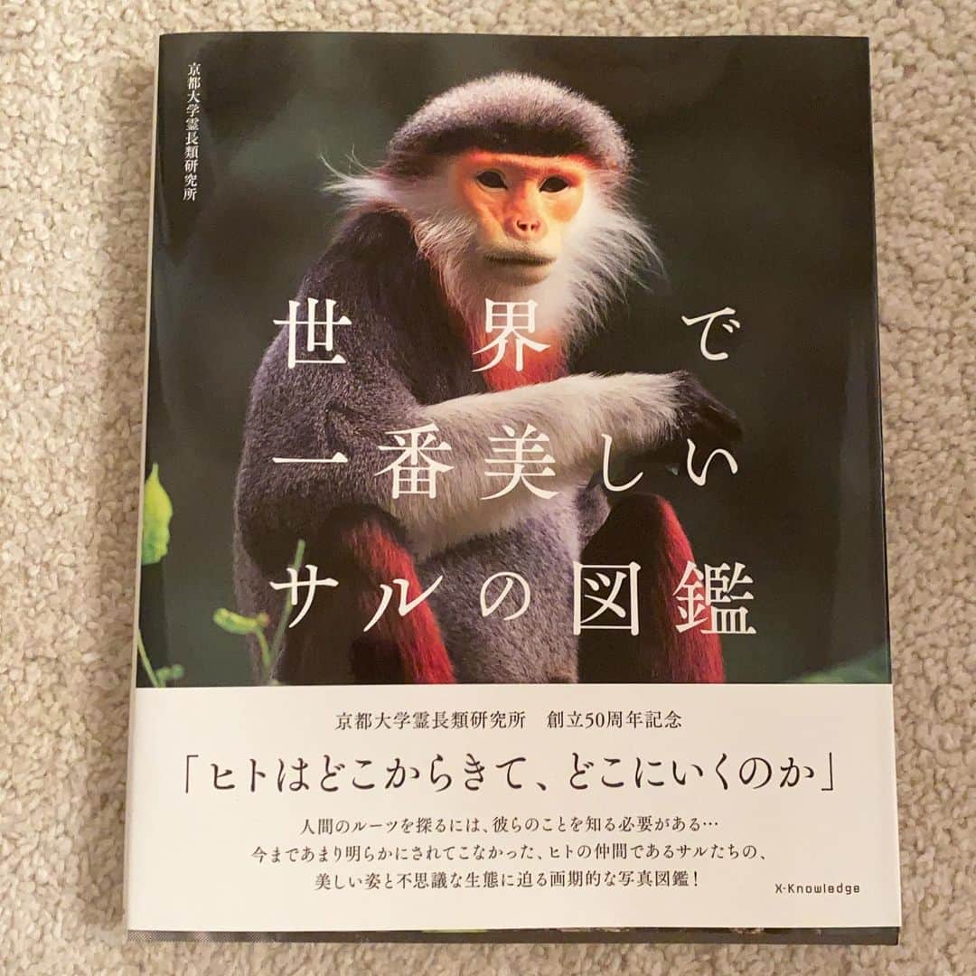 Aya（高本彩）さんのインスタグラム写真 - (Aya（高本彩）Instagram)「今日おうちに届いた図鑑🐵 ずっとみてられる。 この図鑑に載ってるお猿さん全員に会いたい🐒 その中でも今一番会いたいのはキンシコウさん。 キンシコウさんは熊本市動物園にしかいないんだって。  #世界で一番美しいサルの図鑑#サル#猿#人間のルーツ#キンシコウ#テングザルが日本初上陸した時に直様ズーラシアに見に行った#久しぶりにズーラシア行きたいな🐵」6月29日 0時01分 - aya_dream04