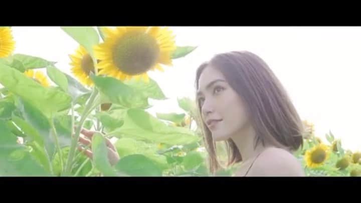 ダンシーシャノン美沙のインスタグラム：「🌻」