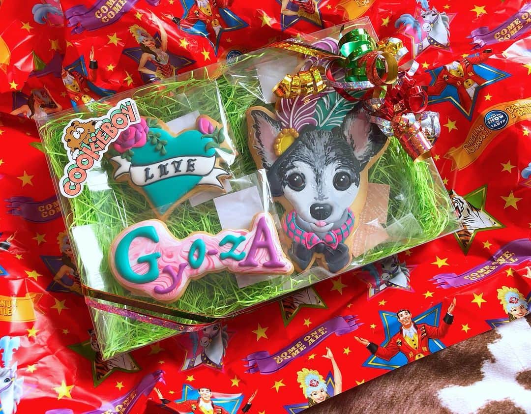 miniのインスタグラム：「HAPPY BIRTHDAY🎂💘✨✨✨ ギョウザ先生🥟🐺💜 @gyo_za.dogcom  今日は、ギョウザ先生の12歳の誕生日🎂💞✨✨ 入院してて一緒にいてあげられなくてごめんね🥺😢 でも、明日ついに退院になりそうなので、新しい家族とみんなで明日お祝いしようね💜 今年はケーキと別で🎂、こんなスペシャルなCOOKIEを頼んでみたの🍪😍 私が大好きな世界一素敵なクッキーを作る🦄🍪💓💜✨クッキーアーティストの @_cookieboy_ さんがペットの似顔絵アイシングクッキー作ってて🍪✍️コレはっっ😳✨✨🤩と思って、ギョウザ先生の誕生日だし、頼んでみた😍🎁 そして、届いたのがコレ🍪🥟🐺🤩 そっくりすぎる‼︎‼︎し、可愛すぎない？！😱🍪✨😍🙌🏾💜💜 はっきり言って一生食べれない🤤🥺💘宝物✨✨ COOKIEBOYさんの作るアイシングクッキーは、 本当唯一無二で素敵すぎるし、おまけでマシュマロクッキーとか、アイシングクッキー入れてくれてて、食べたんだけど、本当に味も美味しすぎるの🥺🍪💞✨✨ 本当に可愛い💜最強なスペシャルクッキーを見て、明日までギョウザ先生に会うのは我慢🥺💘 ギョウザ先生🥟🐺 生まれて来てくれてありがとう💓💜💎✨✨✨ 世界でいちばん愛してるよ💘💘 #ギョウザ先生 #happybirthday #birthday #birthdaycookies #icingcookies #cookieboy #アイシングクッキー #犬 #犬誕生日 #犬似顔絵オーダー #犬似顔絵ケーキ #犬似顔絵クッキー」