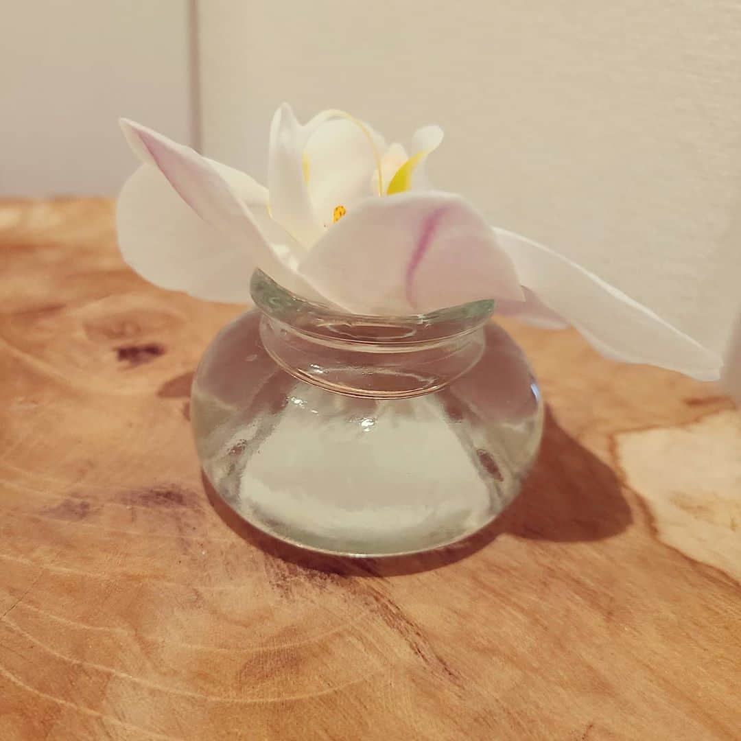 彩乃かなみさんのインスタグラム写真 - (彩乃かなみInstagram)「﻿ ﻿ ﻿ ひとつ前の﻿ 花瓶に入ったガーベラは﻿ 少しだけ前に撮りためておいたものです﻿ ﻿ ﻿ 今、ミニ花瓶を住まいとしているのは﻿ 切花で飾っていたミニ胡蝶蘭の﻿ 最後の生き残りの子﻿です ﻿ ﻿ #ミニ胡蝶蘭は切花の中でかなり持ちが良くて﻿ #コスパ良し﻿ #最後の生き残りって﻿ #言い方どうですの﻿ #彩乃かなみ﻿ ﻿」6月28日 15時59分 - kanamiayano.official