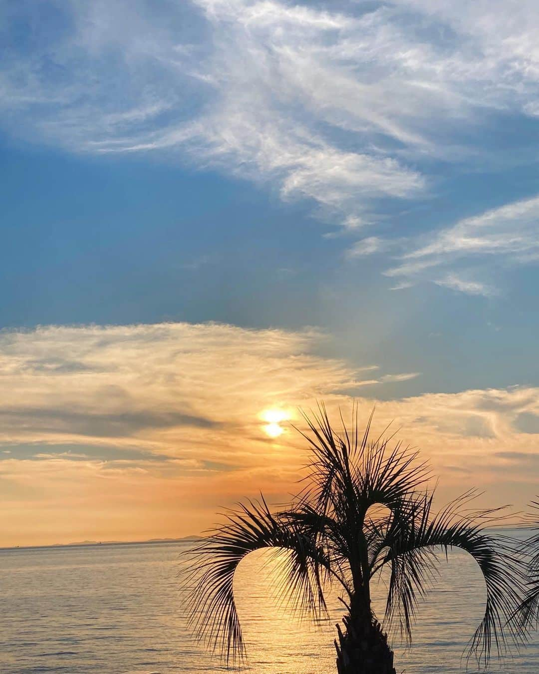 海江田麻貴さんのインスタグラム写真 - (海江田麻貴Instagram)「ㅤㅤㅤ  ㅤㅤㅤ 🌴🌊🌇♥️ from @oceanterraceawaji ❤︎ ㅤㅤㅤ  ㅤㅤㅤ  みなさんが月曜日からまたがんばれますように😌🦋ㅤㅤㅤ  ㅤㅤㅤ ㅤㅤㅤ  ㅤㅤㅤ  ㅤㅤㅤ  #viewofthesea #oceanview #awaji #awajishima #淡路島 #淡路島レストラン #淡路島グルメ #淡路島旅行 #淡路島ランチ #palmtrees #palmtrees🌴 #palmtree #ヤシの木 #eveningsun #eveningsunset #夕陽 #夕陽🌇 #naturebeauty #うみ #summervibes #natureart #sunset #sunsetphotography #sunsets_captures #beautifulnature #かこそら #過去空」6月28日 16時21分 - _makiii0924_