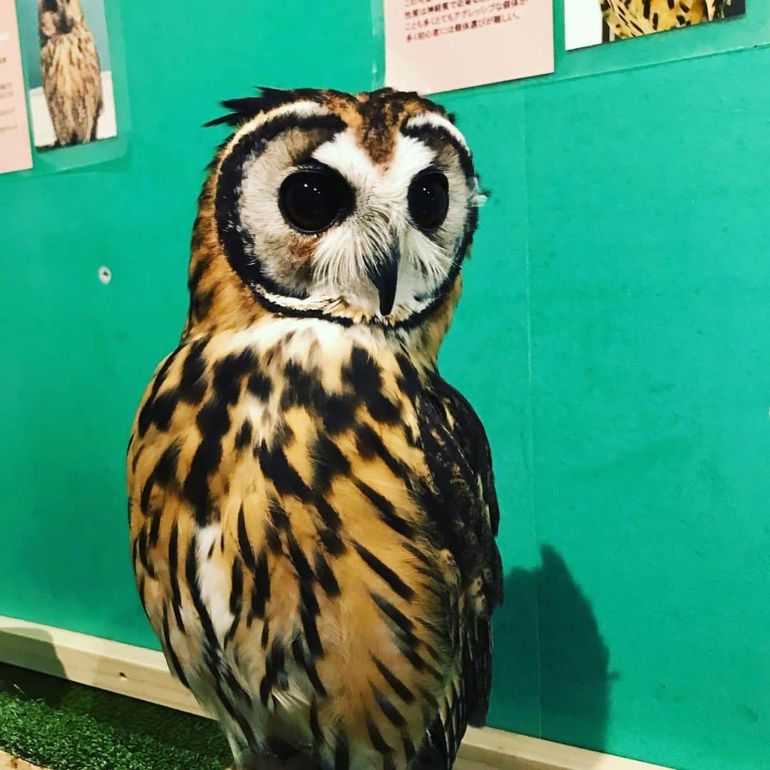 橋本大地のグルメインスタ