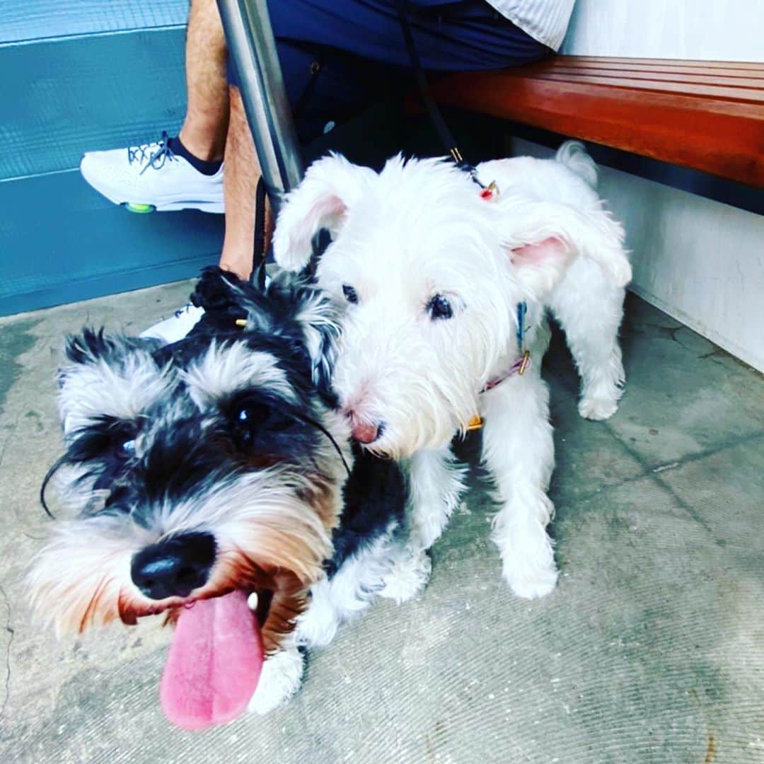 谷川じゅんじのグルメインスタ