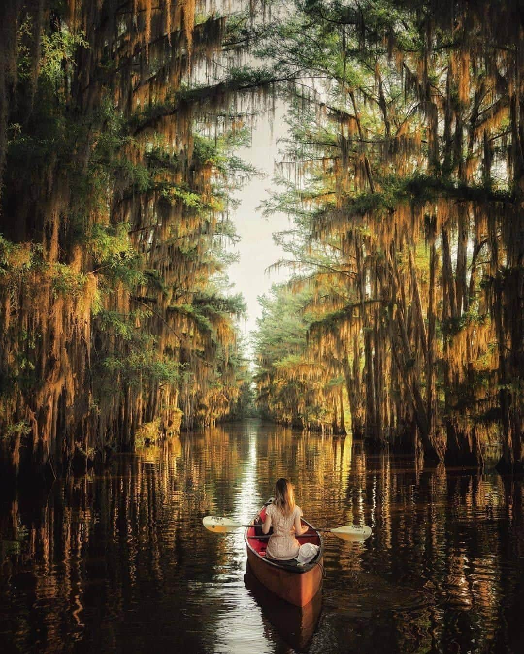 Discover Earthさんのインスタグラム写真 - (Discover EarthInstagram)「🇺🇸 #discoverusa with @everchanginghorizon : " 6:30am on the Bayou, waiting for the alligators to wake up. " Who would like to paddle there ?」6月28日 17時00分 - discoverearth