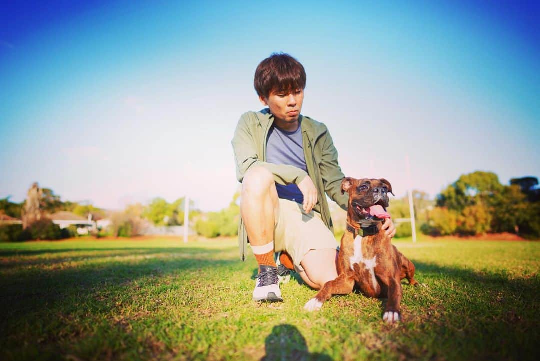 土井雪広のインスタグラム：「Sunday. #boxerdog」
