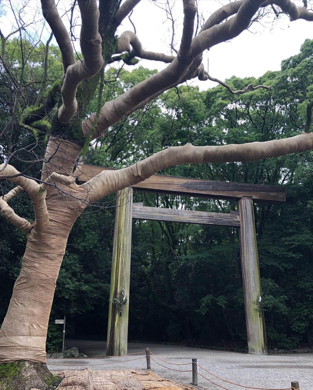 和田正人さんのインスタグラム写真 - (和田正人Instagram)「お休みの今日は熱田神宮へ。全日本大学駅伝のスタート地点でもお馴染み。晴天に恵まれ清々しい気持ちで御参拝。平和な世の中が訪れますように。。。お昼にフォロワーさんに教えてもらった #コンパル のエビフライサンドを食したが、何気に今のところ名古屋メシNo.1かもしれない。」6月28日 17時16分 - daaaaaawaaaaaa