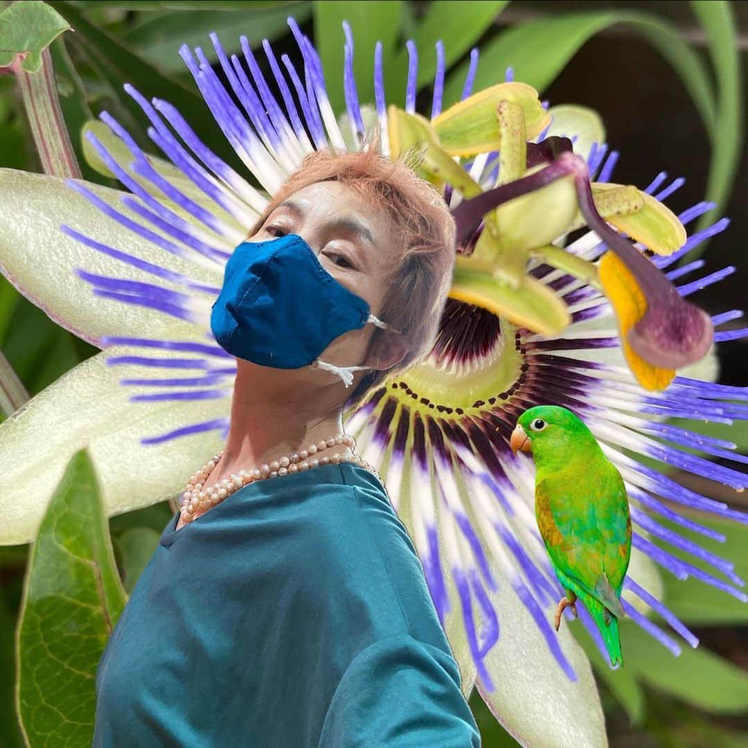 魔女菅原のグルメインスタ