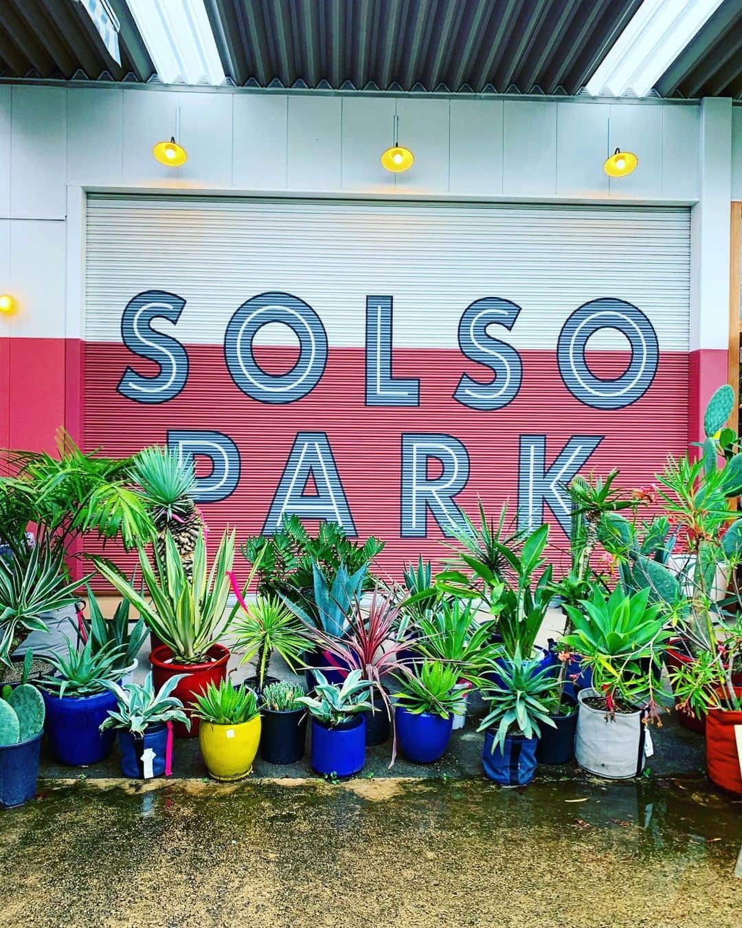 西内ひろさんのインスタグラム写真 - (西内ひろInstagram)「都内で好きな場所😊 お部屋に飾るお花と観葉植物を見に🌱 #garden  #solsopark  #tokyo #観葉植物 #緑のある暮らし」6月28日 17時24分 - 0214hiro