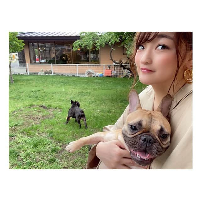 RENA（久保田玲奈）さんのインスタグラム写真 - (RENA（久保田玲奈）Instagram)「‪本日はのんびり😌❤️ . . . ‬ #フレンチブルドック #フレブル #鼻ぺちゃ #ブヒ」6月28日 17時33分 - sb_rena