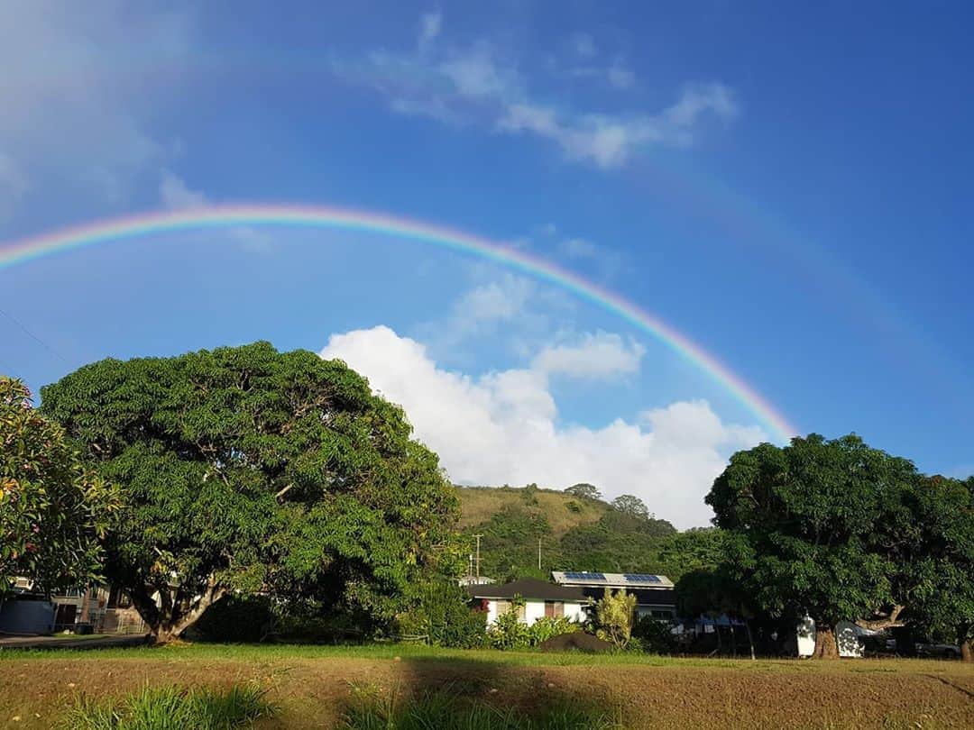 ハン・サンジンのインスタグラム：「#추억여행#memory #hawaii🌴 다시 갈수 있는 날이 오겠지... That's my heaven!!! I wait for all of us to be safe and healthy I want to go even in a dream」