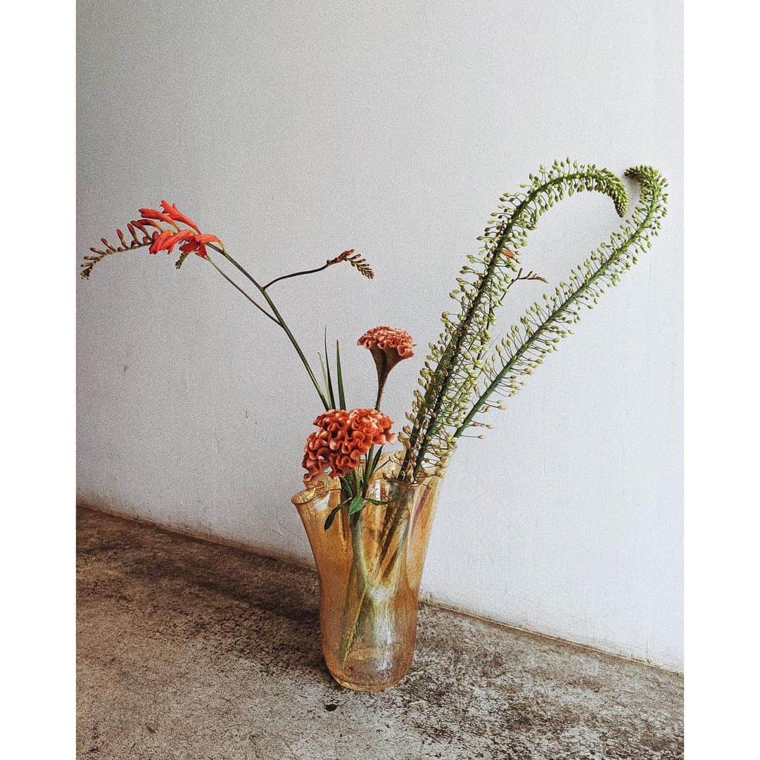高園あずささんのインスタグラム写真 - (高園あずさInstagram)「こういうのも出会い。 光が当たるとまた違う色味に見えたりするところが素敵で。 お花と一緒にお持ち帰り🥀どの角度から見ても美しいなぁ。。 . #花瓶 #フラワーベース」6月28日 17時50分 - azusa_takazono