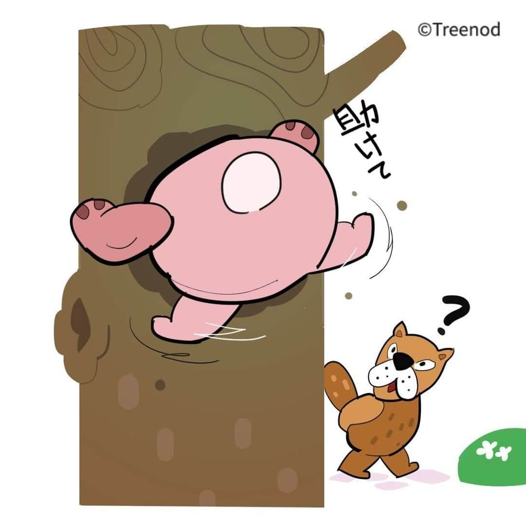 ポコタのインスタグラム