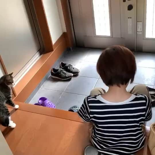 ひのき猫のインスタグラム