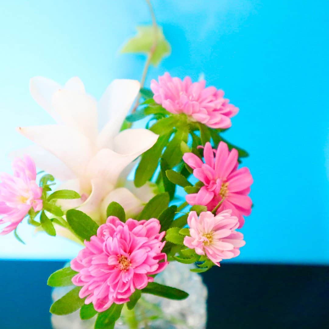 野本愛さんのインスタグラム写真 - (野本愛Instagram)「お花のサブスク @bloomeelife から﻿ 今週のお花が届いたよ😃❣️　﻿ ﻿ 今週は小さくて可愛らしいお花が届いた🌸﻿ ﻿ 自分では買わない種類のお花と出会えるのも﻿ サブスクの魅力だね😃﻿ ﻿ 500円(+送料)〜始められて﻿ ポストに新鮮な季節のお花が届くよ✨﻿ ﻿ ボリュームのある大きめのお花が好きな人は、﻿ 1200円のプランがいいかも❣️﻿ ﻿ ﻿ 🌼6月限定！花瓶プレゼントキャンペーン🌼﻿ ﻿ キャンペーン期間：2020/6/26(金)〜2020/6/30(火)﻿ Bloomee LIFE「公式ライフスタイルモデル」の投稿内にある""クーポン""を使って、﻿ 登録した方の中から抽選で5名に、﻿ 【おしゃれなグラス花瓶】が当たります✨﻿ ﻿ 2枚目の写真の花瓶だよ❣️﻿ ﻿ さらに👇のクーポンを使うと﻿ 初回のお花お届けが無料になるよ😍💕💕﻿ ﻿ 🌸クーポンコード🌸﻿ ■クーポンコード：hime﻿ ■有効期限：2020年6月30日﻿ ﻿ どんなお花が届くか試してみてね💐﻿ ﻿ #bloomeelife #サブスク #お花のある暮らし #お花のある生活 #ピンクの花 #テーブルフラワー #小花  #おうちのお花 #サブスクリプション #クーポンコード #カラフル好き #今日のお花 #花スタグラム #アスター #クルクマ #アイビー #pinkflowers #tableflowers #flowerstagram」6月28日 18時34分 - himemode
