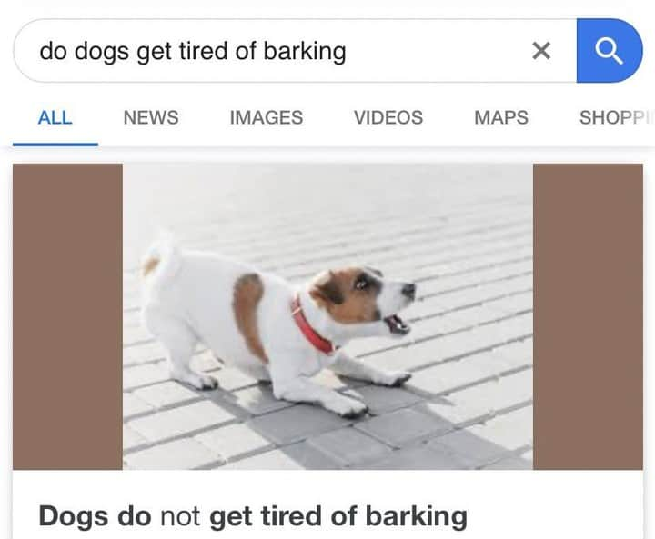 9GAGさんのインスタグラム写真 - (9GAGInstagram)「bork」6月28日 19時01分 - 9gag