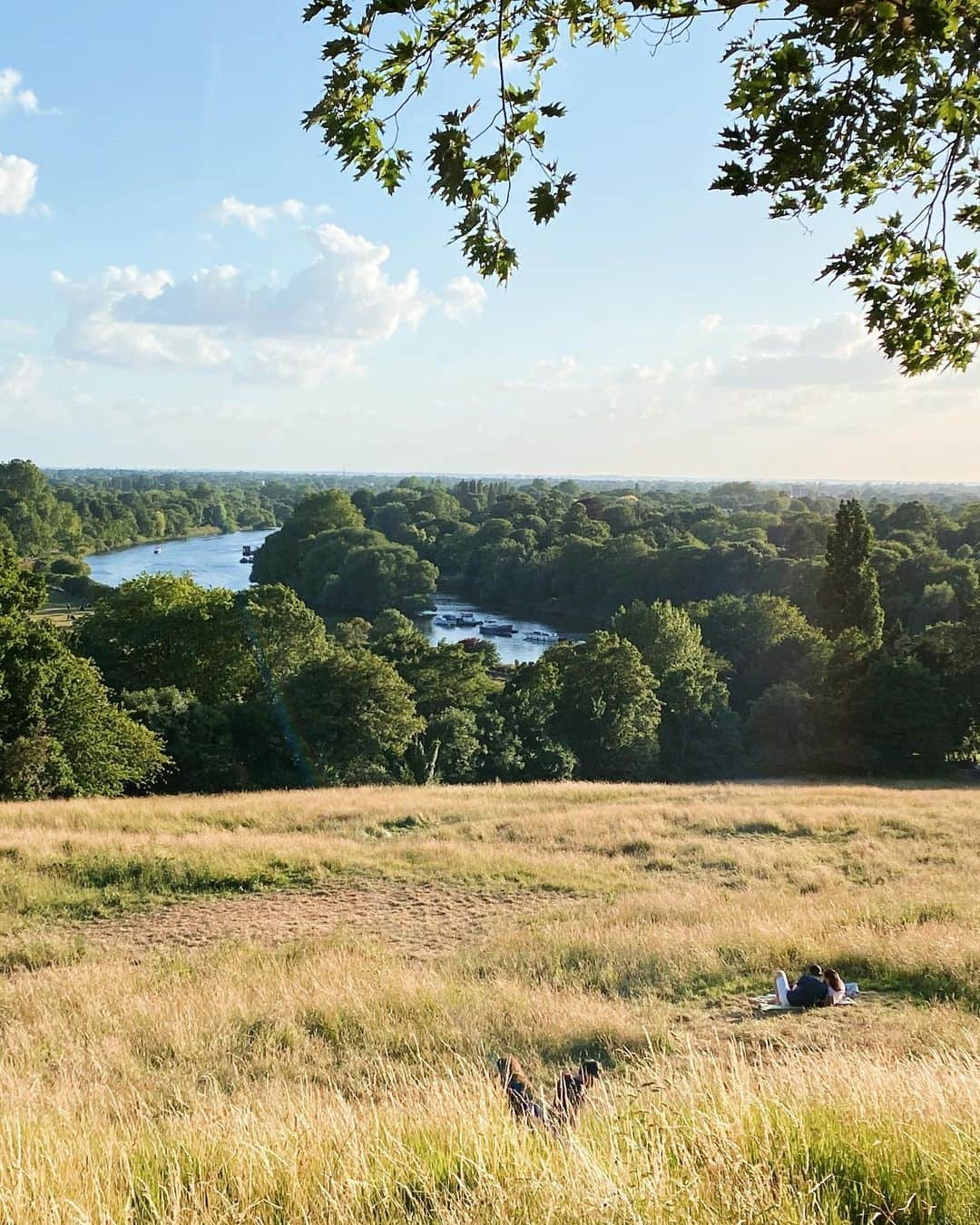 @LONDON | TAG #THISISLONDONさんのインスタグラム写真 - (@LONDON | TAG #THISISLONDONInstagram)「@alice.sampo with one of my favourite spots for a walk, and a sit! 🤣🙈 Sunsets on #RichmondHill are dreamy. Perfect spot for a picnic and glass of wine.🍷☺️🙏🏼 ____________________________________________  #thisislondon #lovelondon #london #londra #londonlife #londres #uk #visitlondon #british #🇬🇧 #Richmond #richmondpark #richmondriverside #fromwhereisit #londonparks」6月28日 19時01分 - london