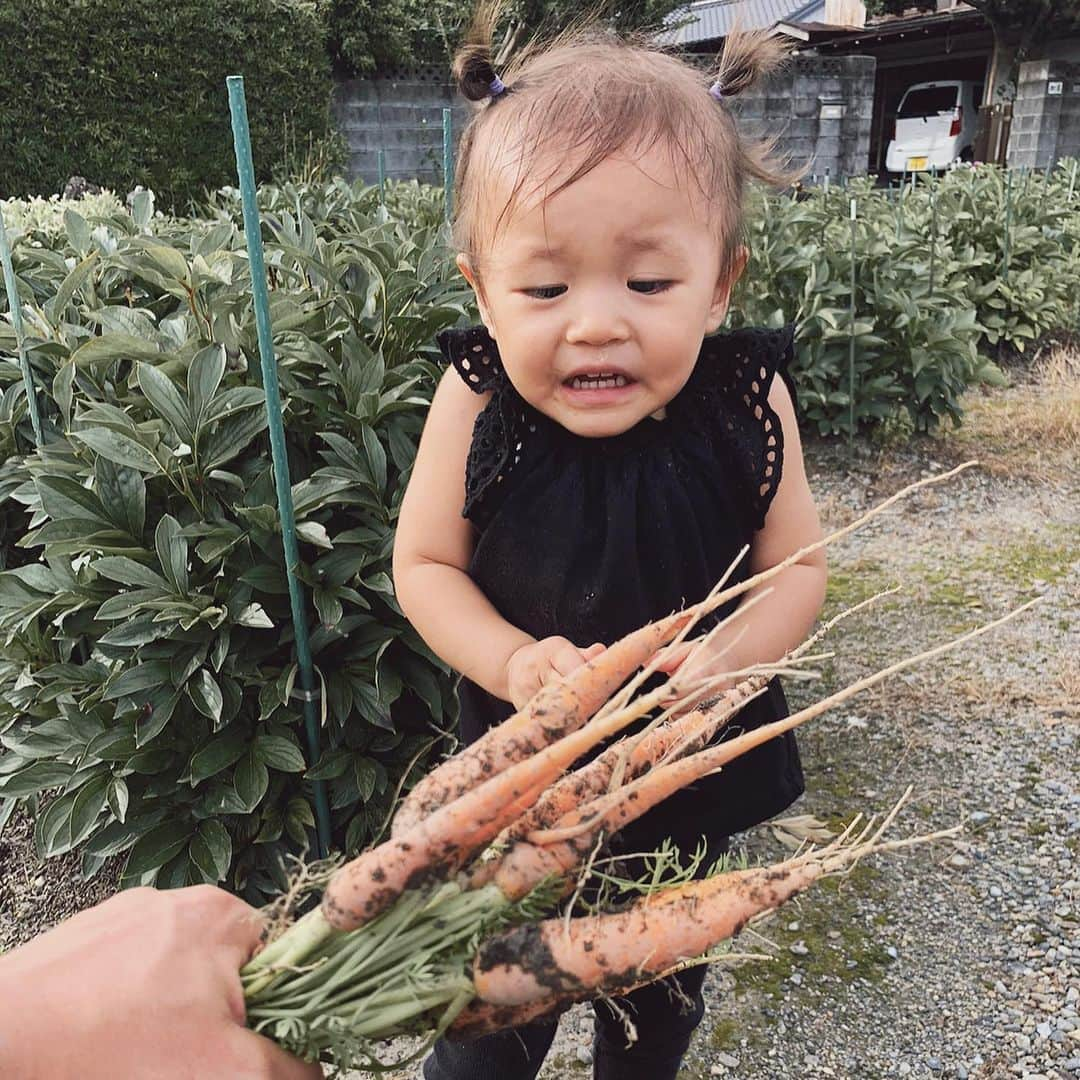 里見茜さんのインスタグラム写真 - (里見茜Instagram)「大好きすぎる従兄弟たち🤍﻿ 2人が娘の事を凄い可愛がってくれるから﻿ まんざらでもないおてんば娘は調子に乗って暴れたい放題⚪️﻿ ﻿ お兄ちゃんとお姉ちゃんにずっとくっついてた2日間だったね。﻿ ﻿ 地元の畑のおじちゃんがくれた﻿ 採れたての人参を見た時の反応が面白すぎて、本当に表情が豊かな人😹﻿ ﻿ リアクション芸人になれるんじゃないかってぐらいみてて飽きません←﻿ ﻿ 沢山遊んでくれてありがとう🌿﻿ ﻿ #のどかな休日#好きが溢れる#従兄弟#久しぶりに会えて嬉しかったね﻿ ﻿」6月28日 19時14分 - satomiakane