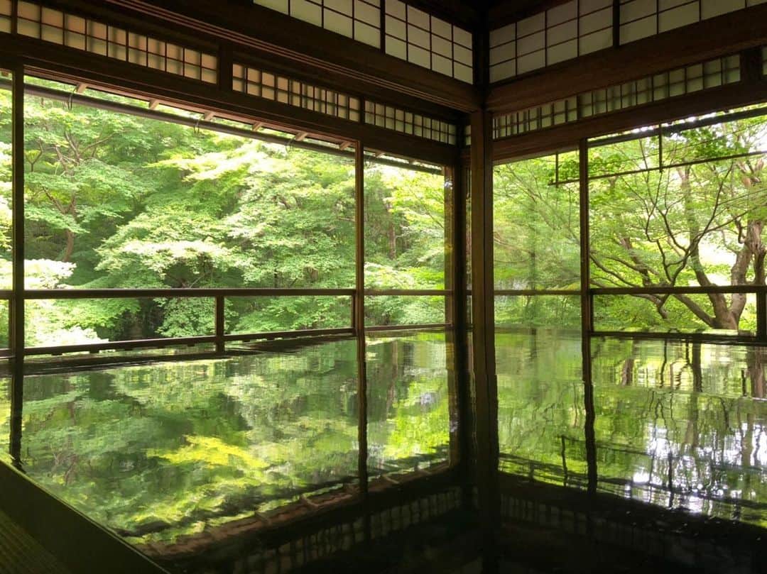 Licaさんのインスタグラム写真 - (LicaInstagram)「緑に囲まれて。 . 書院から見る庭景色は心洗われます🎐 . 静かな空間で水の音や葉が揺れる音に癒されました☺️❤️ . 秋の紅く染まる景色も見てみたいなぁ🍁 . #瑠璃光院#京都#京都旅行#旅行#癒し#kyoto」6月28日 19時20分 - lica829
