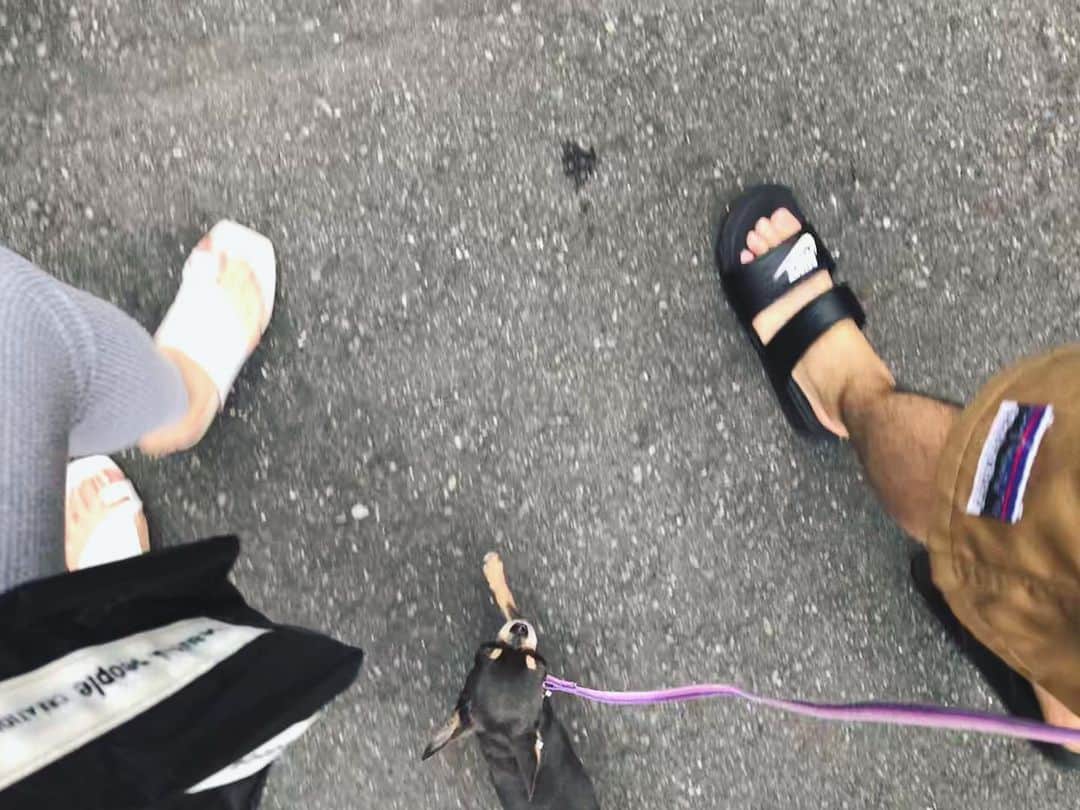 ステファニーのインスタグラム：「👩🏼🐶👨🏽‍🦱❤️🌼 なんでもないような時間が こんなにも幸せって 改めて教えてくれたこの時間を 決して無駄にしないようにしよう。」