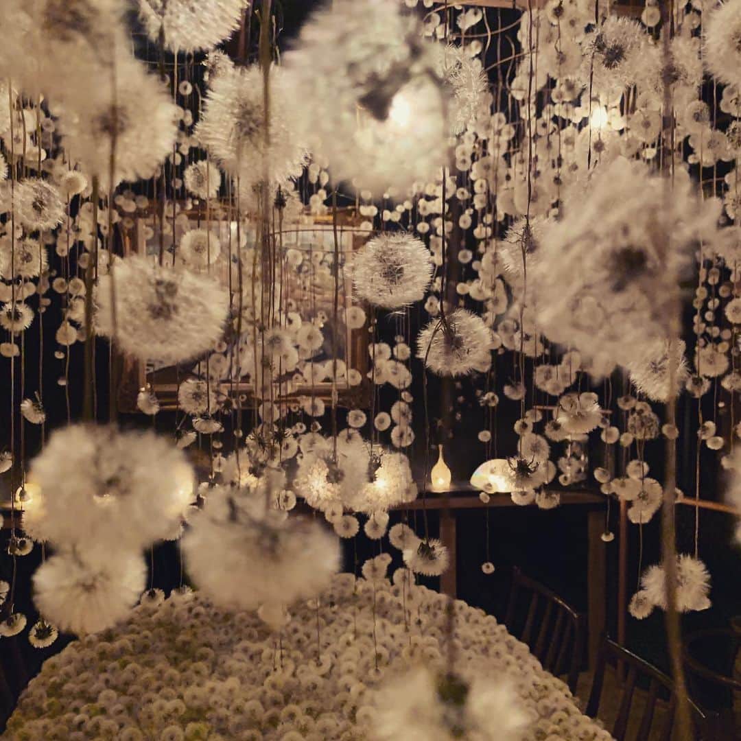 鷹野日南さんのインスタグラム写真 - (鷹野日南Instagram)「🥀 . . #金沢　#金沢旅行　#金沢観光 #国内旅行　#Kanazawa #flowerstagram」6月28日 19時37分 - hinachan.3