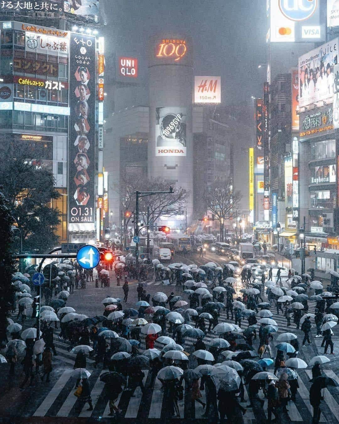 9GAGさんのインスタグラム写真 - (9GAGInstagram)「Is it currently the rainy season where you live? It officially is in Japan, 🌧️ Follow @voyaged to learn more about the world 🌍 | By @kohki - #voyaged #japan #9gag #notfromresidentevil」6月28日 19時56分 - 9gag