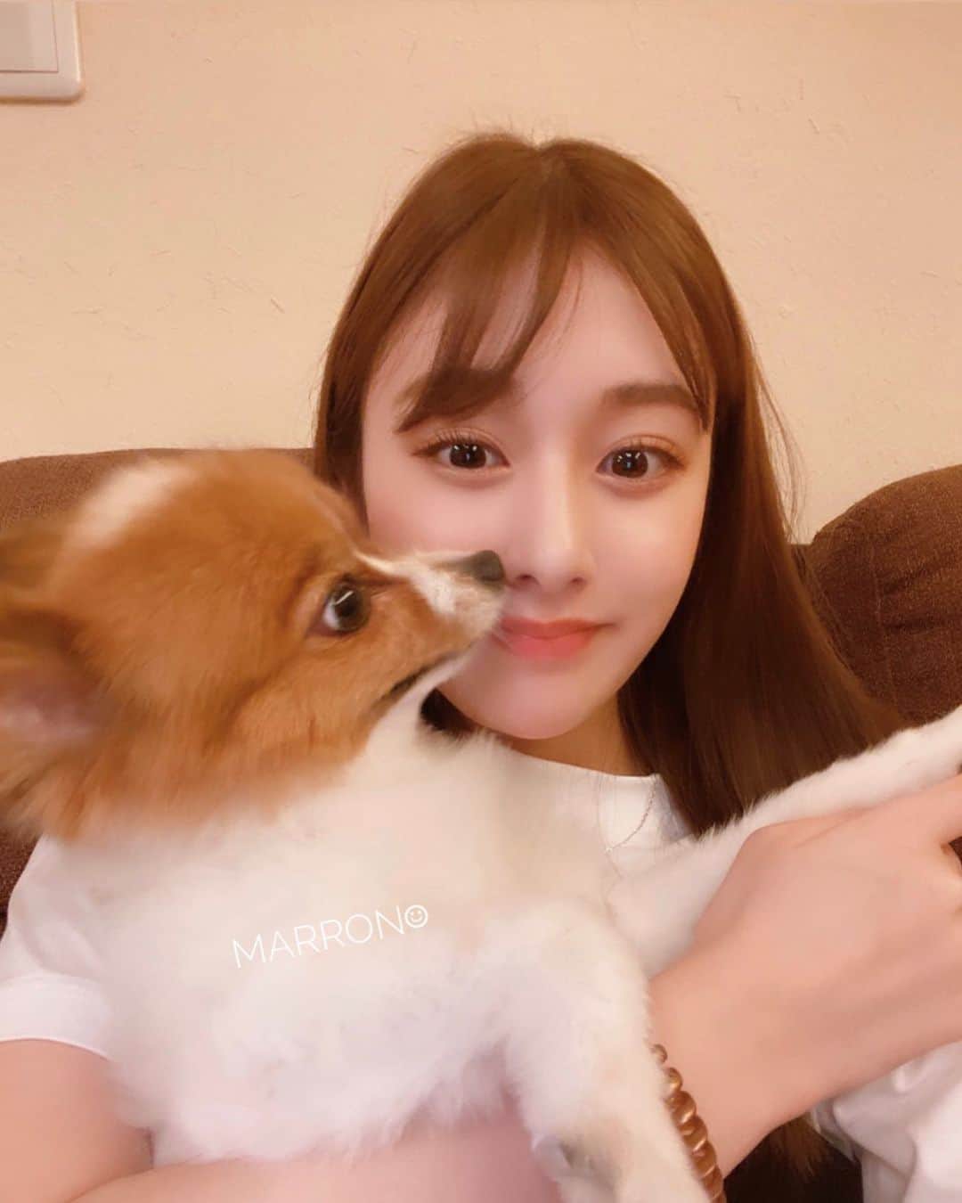加藤美南のインスタグラム：「まろん♡ふわっふわ🐶」