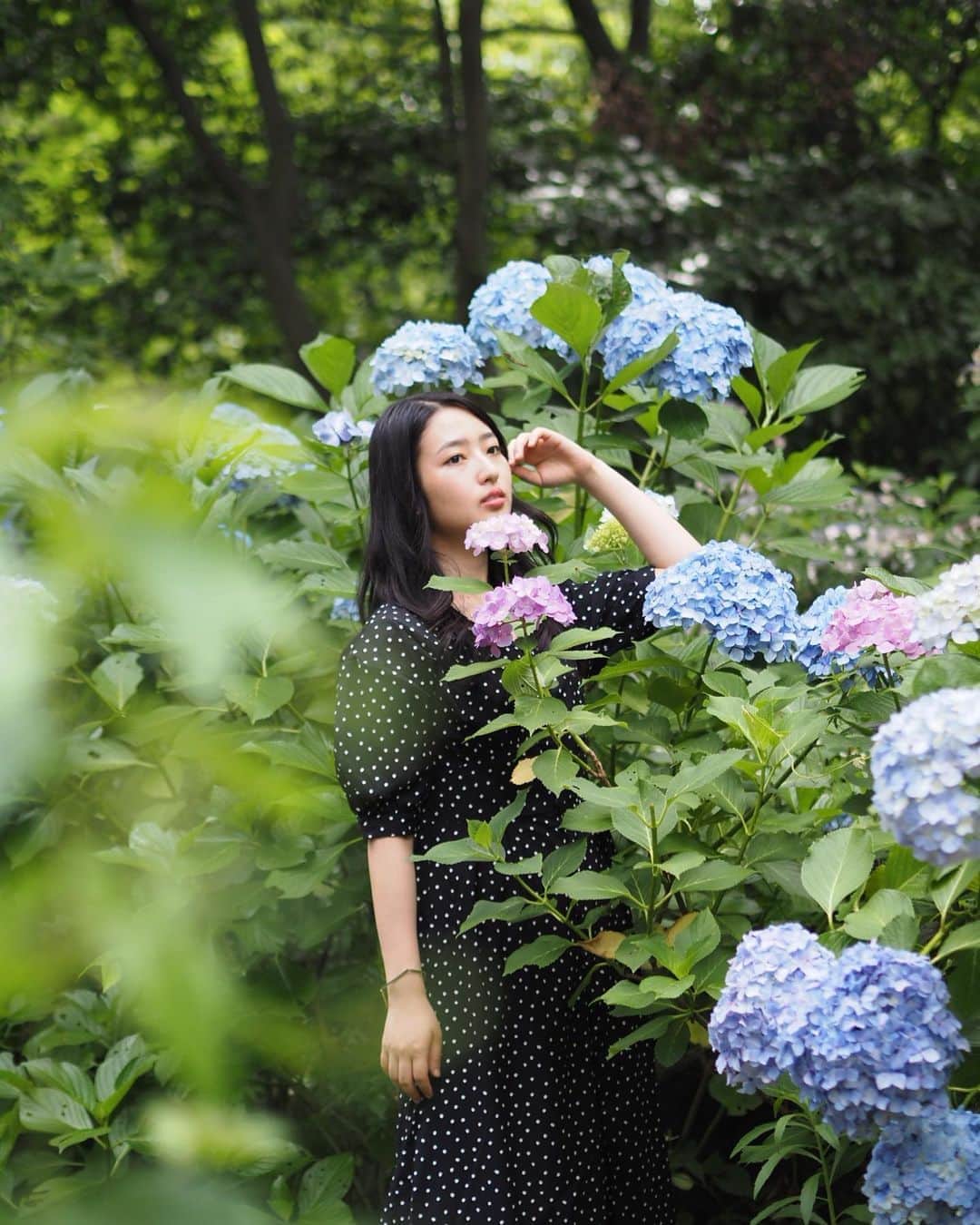 AO のインスタグラム：「小さいお花がたくさん集まって ものすごい大きさになってた紫陽花🏵 中に入って裏側から見ると不思議にみえるよ 梅雨もうちょいかね #紫陽花#梅雨#花#雨」