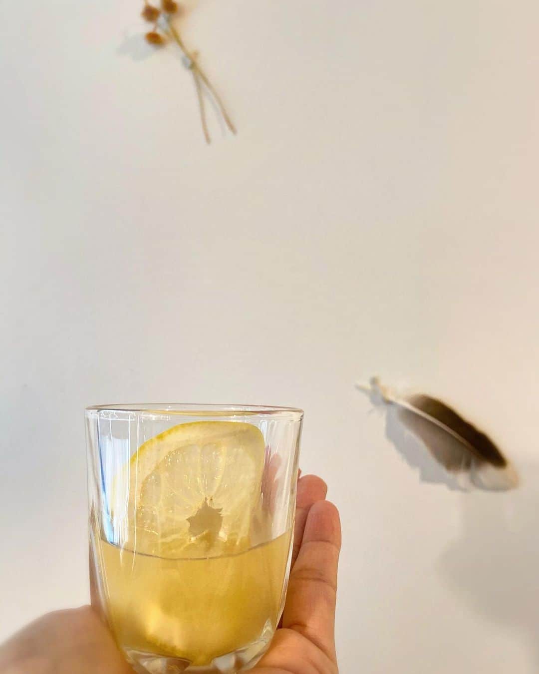 裕木奈江さんのインスタグラム写真 - (裕木奈江Instagram)「レモンチェロのようですが、いただいた地ビール。泡が消えて柑橘系の皮の苦味とレモンの香りでスッキリゆっくり味わえます🍋 #beer #summer #lemon」6月28日 21時05分 - nae_yuuki