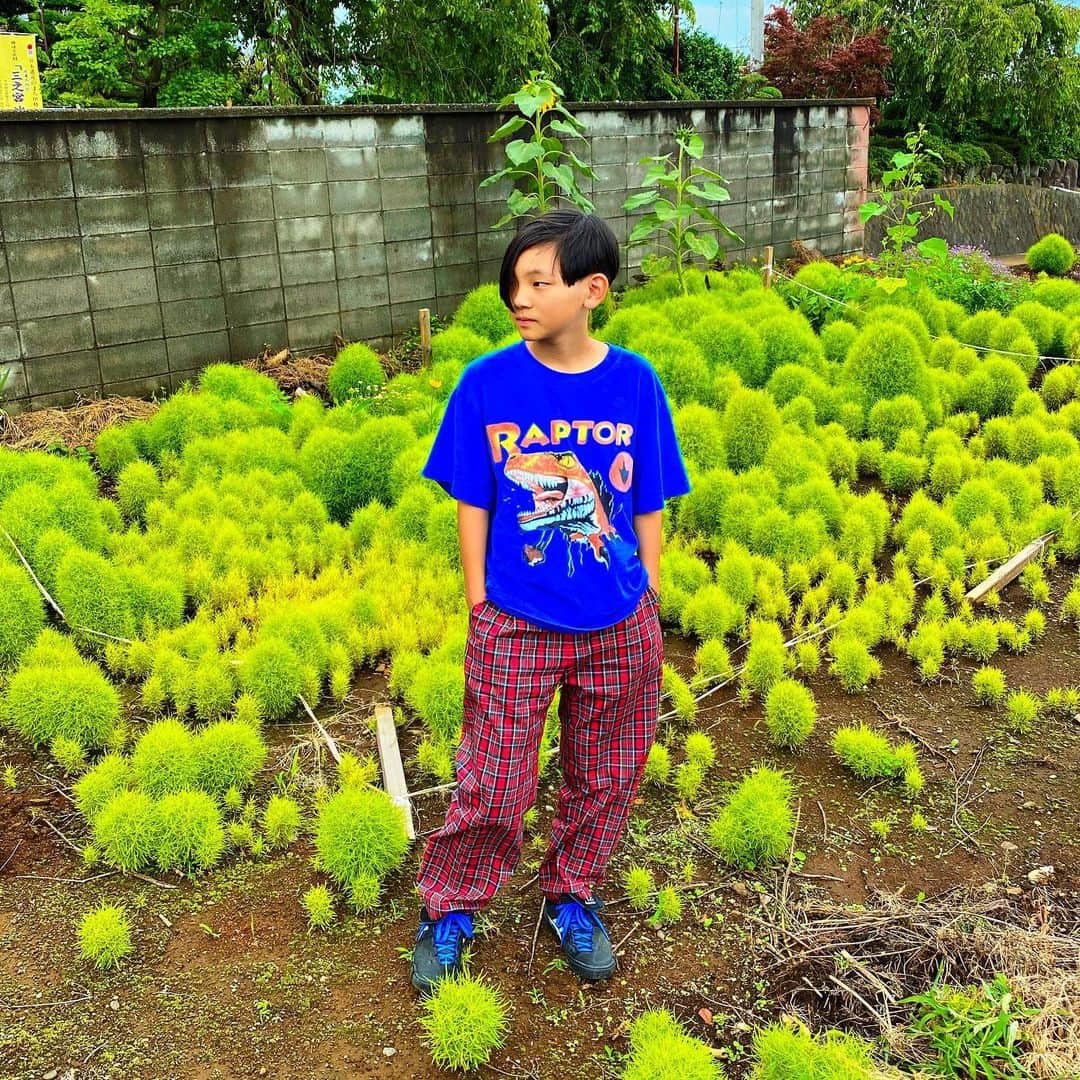 DJ DARUMAのインスタグラム：「🦠🦠🦠🦠🦠」