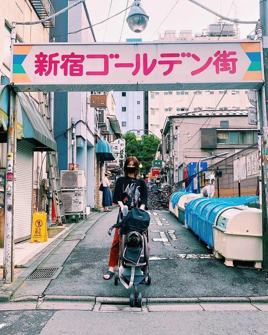 中嶋イッキュウのインスタグラム：「一匹の犬と女の物語」