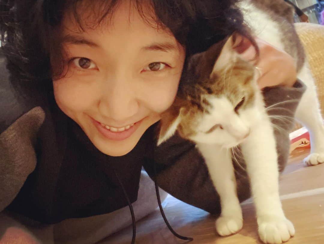 安藤サクラさんのインスタグラム写真 - (安藤サクラInstagram)「頭もじゃもじゃがうれしくて猫村さんの撮影のあと我が家の猫と自撮りしてあそんだ。猫に台詞合わせしてもらったりも、した🐈やっぱり自撮りはむずかしい😳」6月28日 21時22分 - sakuraando