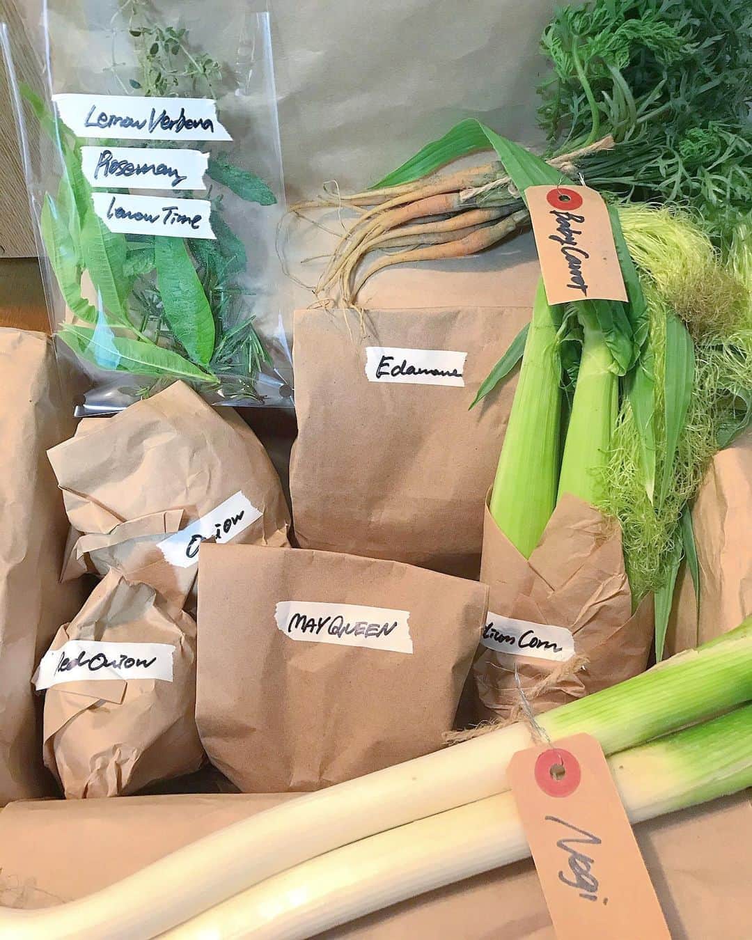 のインスタグラム：「美味しい無農薬野菜のお届け📦  在宅勤務の間しばらく東京から離れて、毎日美味しいお野菜を食べていたので、東京でも美味しくて新鮮なお野菜食べられないのかな〜と思っていた時にたまたま見つけた 🌏@wellnessclubtokyo  Sサイズの野菜セットを頼みました！  これにシソとバジル沢山！🌿 今日は枝豆を茹でて(茹でてる間の匂い🤤💞) ミディコーンをグリルで焼いてバター醤油🌽ベビーキャロットの一部はぬか漬けの中🥕  地球を感じる、濃くて、甘い 旬なお野菜を食べられる幸せ。  #ありがとうございました  #bio #organic #無農薬野菜 #無農薬 #オーガニック野菜 #オーガニック #オーガニックライフ #オーガニックフード #無農薬栽培」
