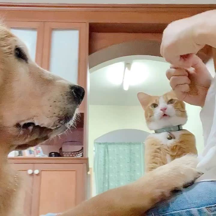 tamatamagoのインスタグラム