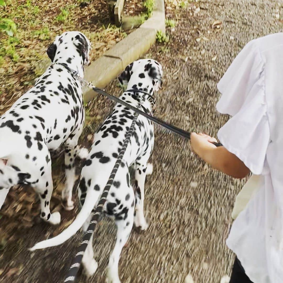 高岡早紀 さんのインスタグラム写真 - (高岡早紀 Instagram)「雨上がりに3人娘と散歩。 可愛いしかない。。」6月28日 22時16分 - saki_takaoka