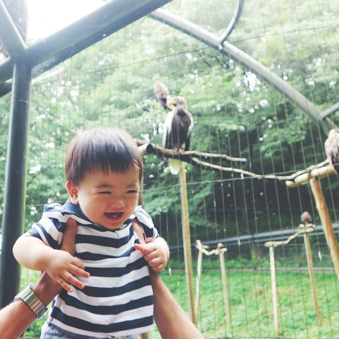 佐川愛果さんのインスタグラム写真 - (佐川愛果Instagram)「今日は家族で多摩動物公園に行ってきました🐅 息子くん、初動物園！大好きな鳥さんのゾーンで大興奮したり、ぞうさん見てぱおぱお言ってた🐘笑  #多摩動物公園 #動物園 #ママライフ #生後11ヶ月 #ママスタグラム #ママコーデ #ママファッション #男の子ママ」6月28日 22時30分 - aika728sagawa