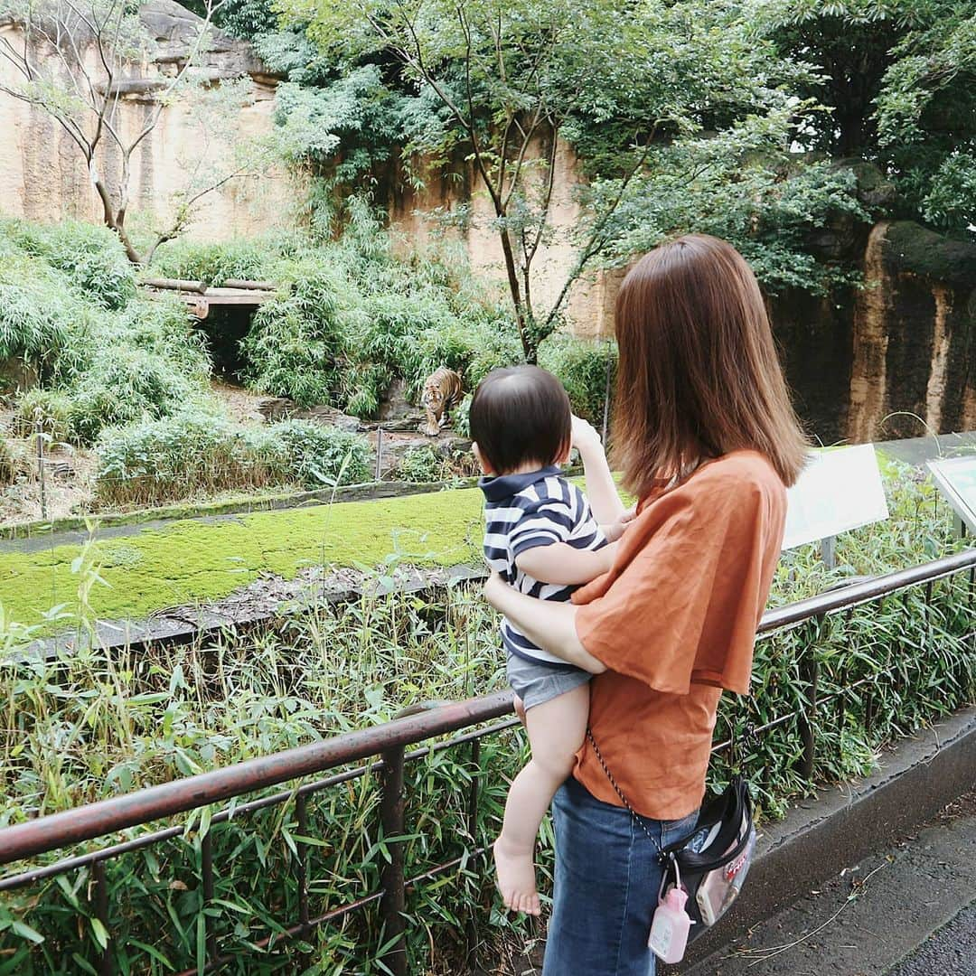 佐川愛果さんのインスタグラム写真 - (佐川愛果Instagram)「今日は家族で多摩動物公園に行ってきました🐅 息子くん、初動物園！大好きな鳥さんのゾーンで大興奮したり、ぞうさん見てぱおぱお言ってた🐘笑  #多摩動物公園 #動物園 #ママライフ #生後11ヶ月 #ママスタグラム #ママコーデ #ママファッション #男の子ママ」6月28日 22時30分 - aika728sagawa