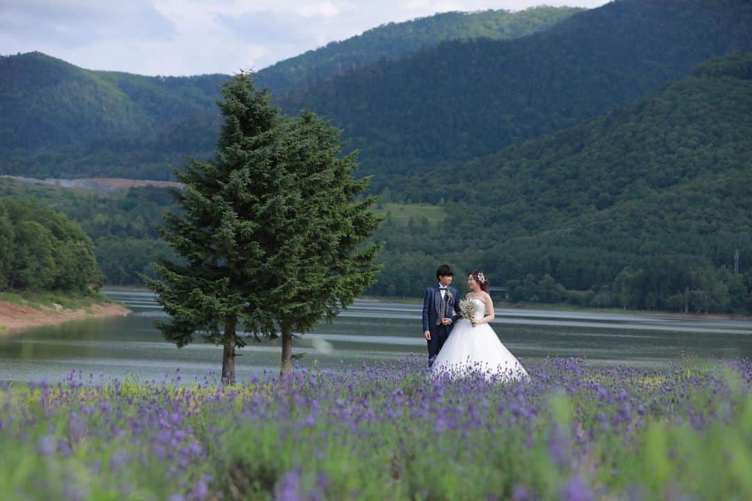 STUDIO SOLAさんのインスタグラム写真 - (STUDIO SOLAInstagram)「一生の思い出を、せっかくなら北海道で。﻿ ﻿ ﻿ 大人気のラベンダー期間、ご予約は残りわずかですのでお早めに！﻿ ﻿ \\オンライン相談会はじめました//﻿ ご予約はプロフィール欄のホームページリンクから✨﻿ ﻿ ﻿ ﻿ ﻿ ﻿ #パッチワークの丘  #STUDIOSOLA﻿ #スタジオソラ ﻿ @decollte_weddingphoto @decollte_weddingstyle @d_weddingphoto_jp﻿ #weddingphoto  #instagood #結婚式前撮り #新婚旅行 #チェリフォト #北海道旅行﻿ #富良野 #北海道前撮り#牧場 #ロケーションフォト #tokyo_camera_club #前撮り#東京カメラ部﻿ #weddingdress #prewedding #写真好きな人と繋がりたい #ひまわり畑  #ラベンダー  #ウエディングヘア﻿ #wedding #結婚写真 #前撮り #プレ花嫁#卒花嫁 #日本中のプレ花嫁さんと繋がりたい #結婚式﻿ #結婚式準備」6月28日 22時39分 - studiosola_hokkaido