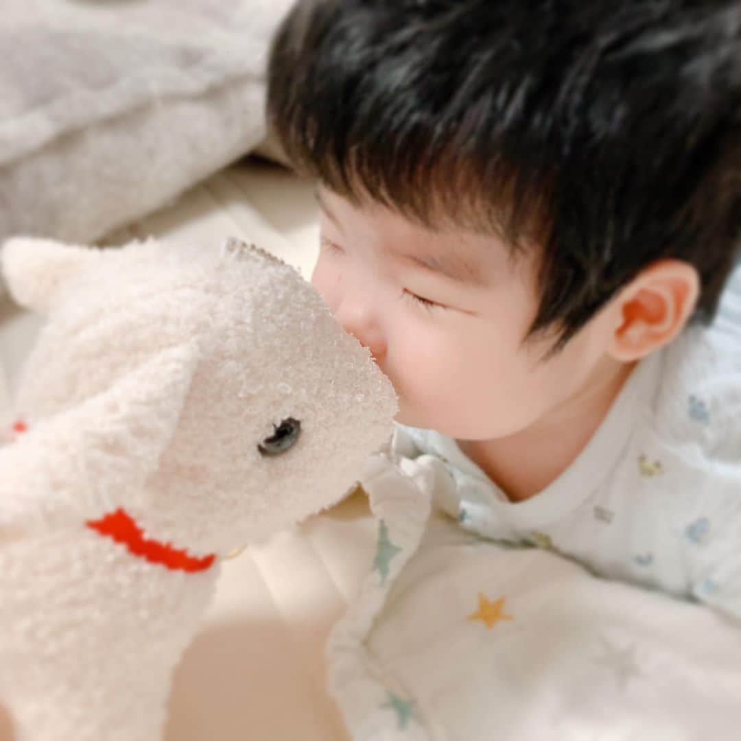 SHOCOのインスタグラム：「ユキちゃんを愛でる息子。もう少し大きくなったらハイジ見せよう#otonamuse」