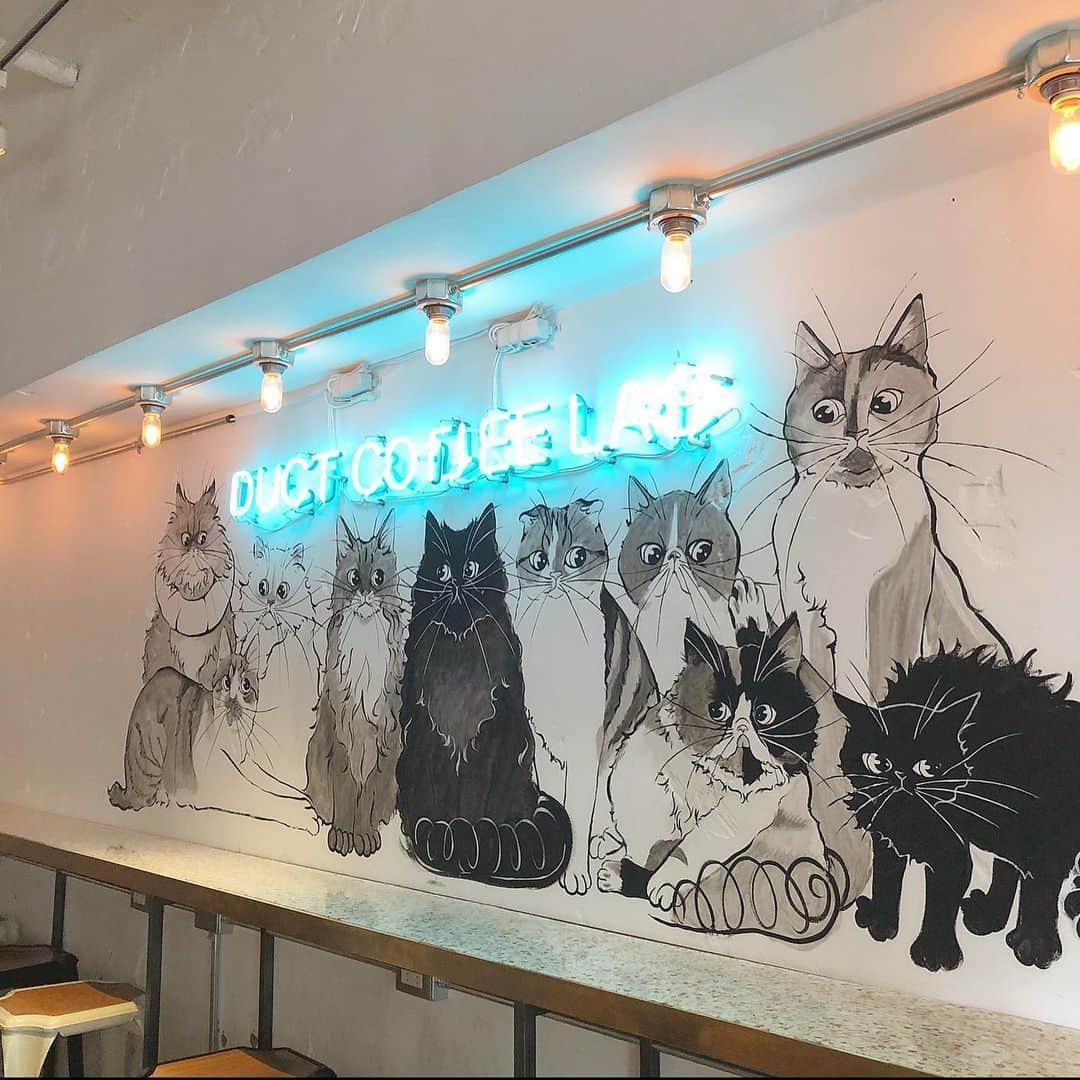 桑島 夢のグルメインスタ