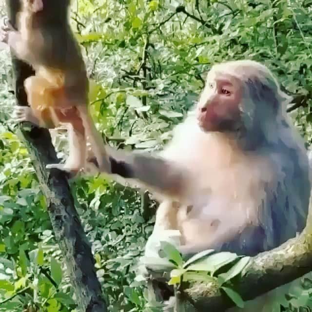 ウィリアム・レビーのインスタグラム