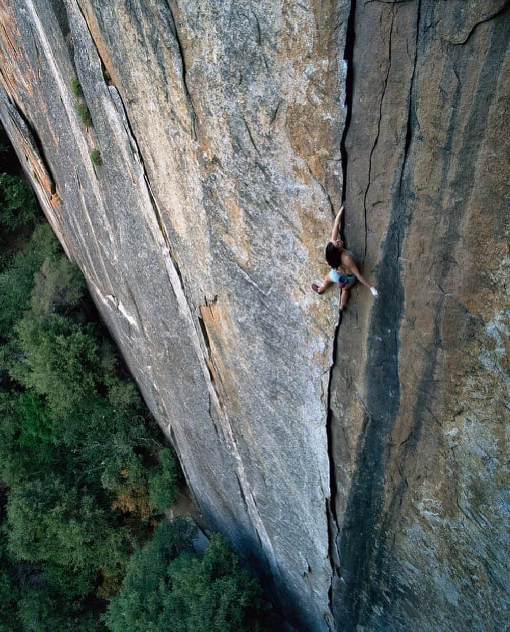 ジミー・チンさんのインスタグラム写真 - (ジミー・チンInstagram)「The time I have spent in Yosemite really shaped my life as a climber, photographer and filmmaker. It was in Yosemite that I took my first published photographs, met many of my best friends and mentors and shot two covers for National Geographic. And of course, we filmed Free Solo there. You could say it has a very special place in my heart. ⁣ ⁣ Two people I looked up to as a young climber and photographer were @yageryca and @pictures_of_fidelman. They lived, climbed and embodied the spirit of the Stone Masters. Over the years, @YagerYCA has collected significant pieces of climbing history and has given back to our community through efforts like @yosemitefacelift. @pictures_of_fidelman has probably spent more time documenting the heart and soul of the climbing tribe and culture in the Valley than anyone else I know. ⁣ ⁣ Along with the Yosemite Climbing Association they are ready to open their museum of historical climbing artifacts and a gallery of climbing art in Mariposa, CA. It’s a place to share and preserve Yosemite history, climbing artifacts and art. To help support, hit the Kickstarter link in my bio, donate and own some of the first YCA- printed photos and posters of the most iconic archival Yosemite images. Check out the photos available at the link in my bio or click the link at yosemiteclimbing.org.⁣ ⁣ Photo 1 - @corbinusinger surfing the Taft Point Highline. 📸 by @pictures_of_fidelman ⁣ ⁣ Photo 2 - @highsteph, free soloing Outer Limits in Yosemite Valley. 📸 by @pictures_of_fidelman ⁣ ⁣ Photo 3 - Frank Tarver and Warren Harding, racking up for the second ascent of the Lost Arrow Chimney. 📸 by Bob Swift, 1954  @yosguns @tommycaldwell」6月25日 3時04分 - jimmychin