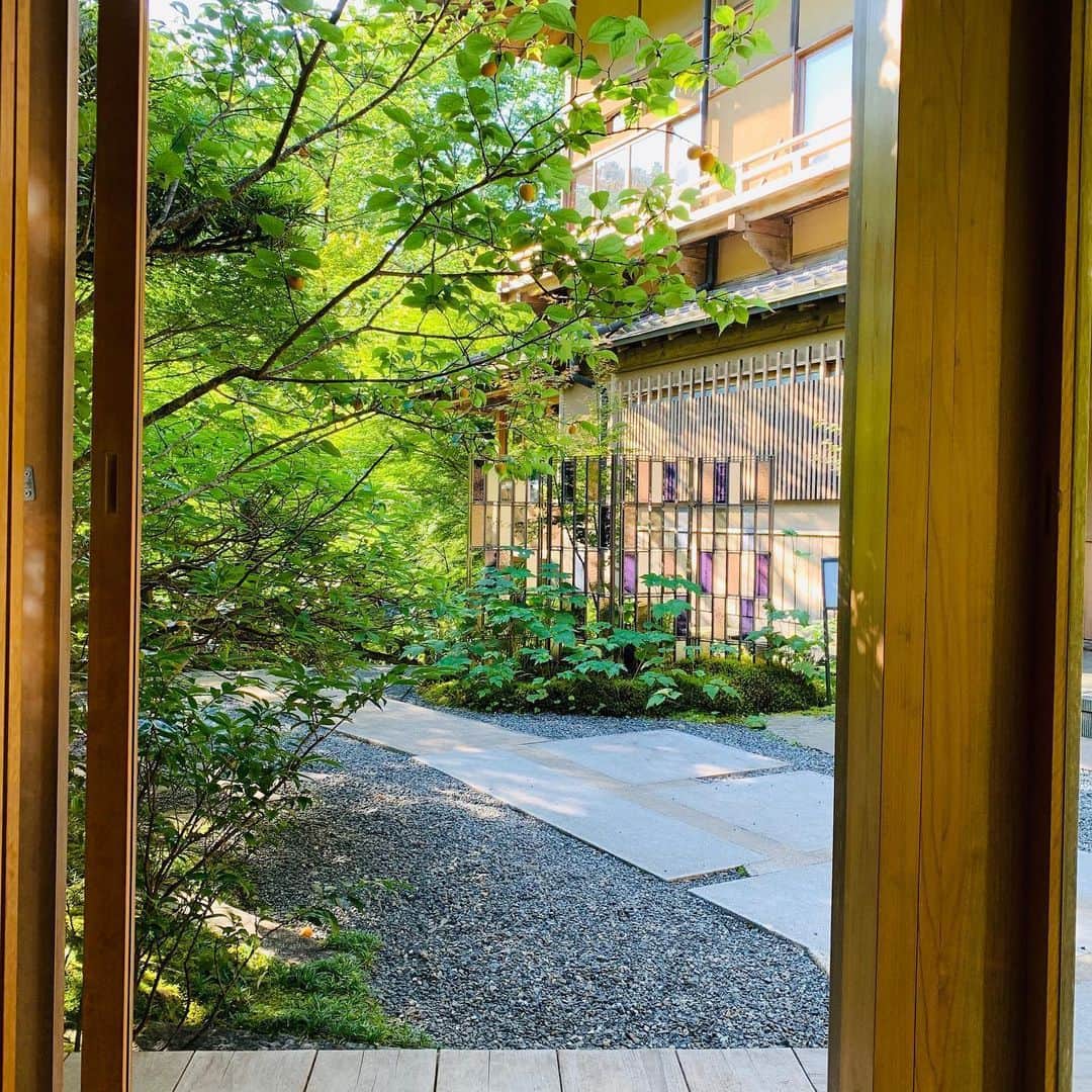 HOSHINOYA｜星のやさんのインスタグラム写真 - (HOSHINOYA｜星のやInstagram)「You can feel the beginning of summer with seasonal plants, ume(Japanese apricot). #hoshinoya #hoshinoyakyoto #hoshinoresorts #kyoto #arashiyama #summer #星のや #星のや京都 #星野リゾート #夏 #京都」6月24日 18時26分 - hoshinoya.official