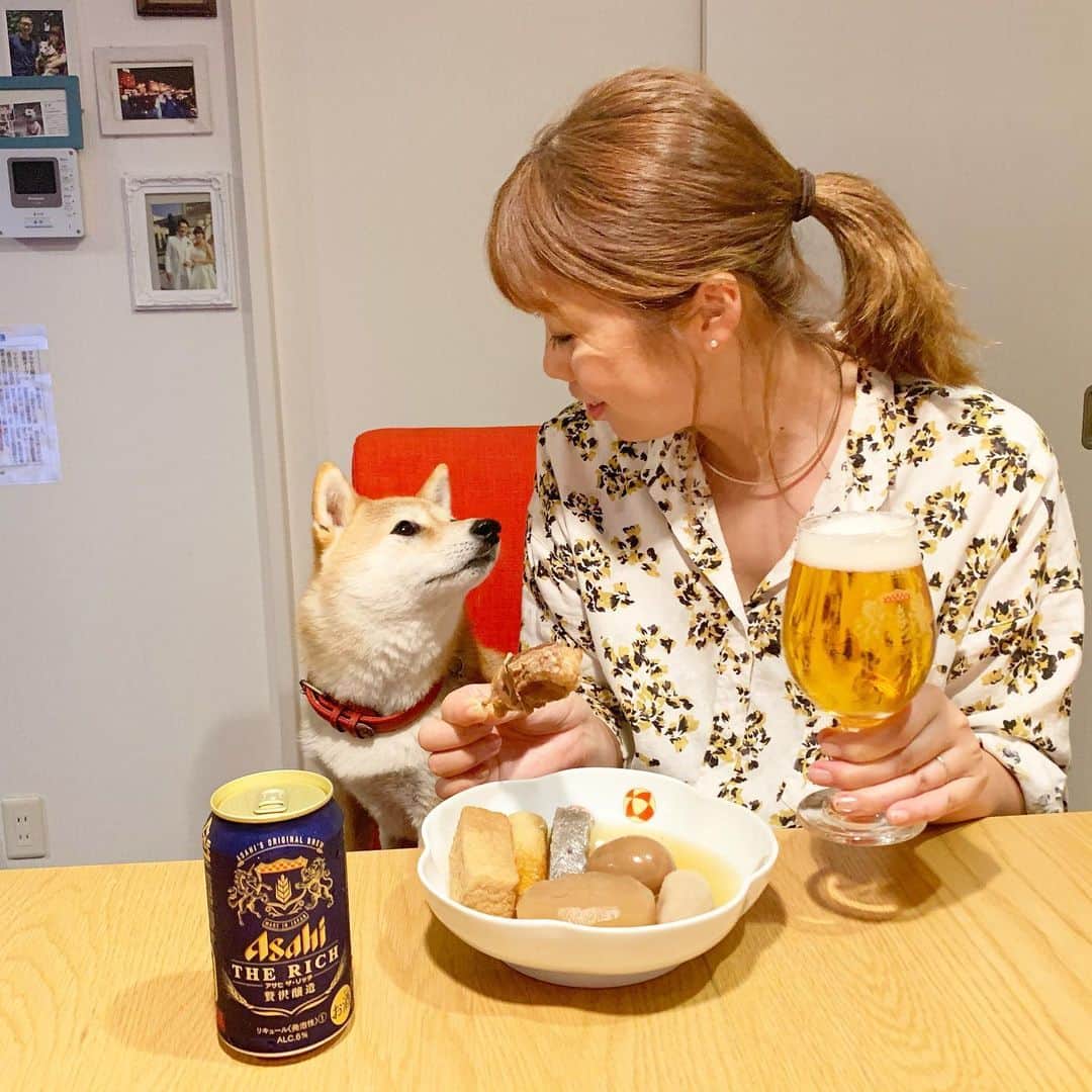 柴犬ハル&保護犬すずのグルメインスタ