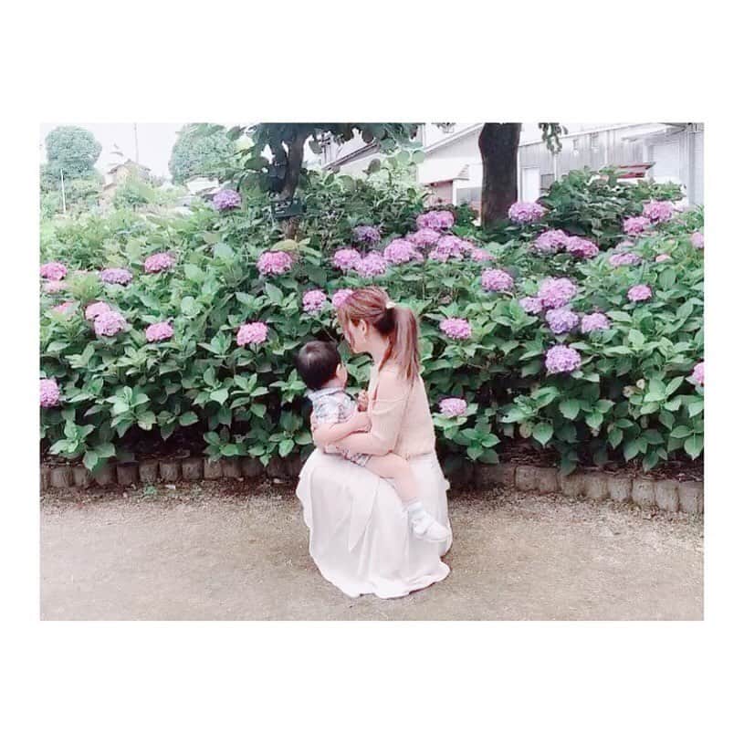 小河結香のインスタグラム：「今年もギリギリ見れました☂️💕 6月生まれだからなんとなく 紫陽花と薔薇が好き🥰 #紫陽花 #あじさい寺 #性海寺 #地元 #稲沢 #毎年恒例 #6月生まれ #梅雨生まれ #ただの天使 #ちっちゃな彼氏 #ベビスタグラム #インスタベビー #ig_baby #キッズレート #キッズフォト #ベビーフォト #子供写真 #赤ちゃん写真」
