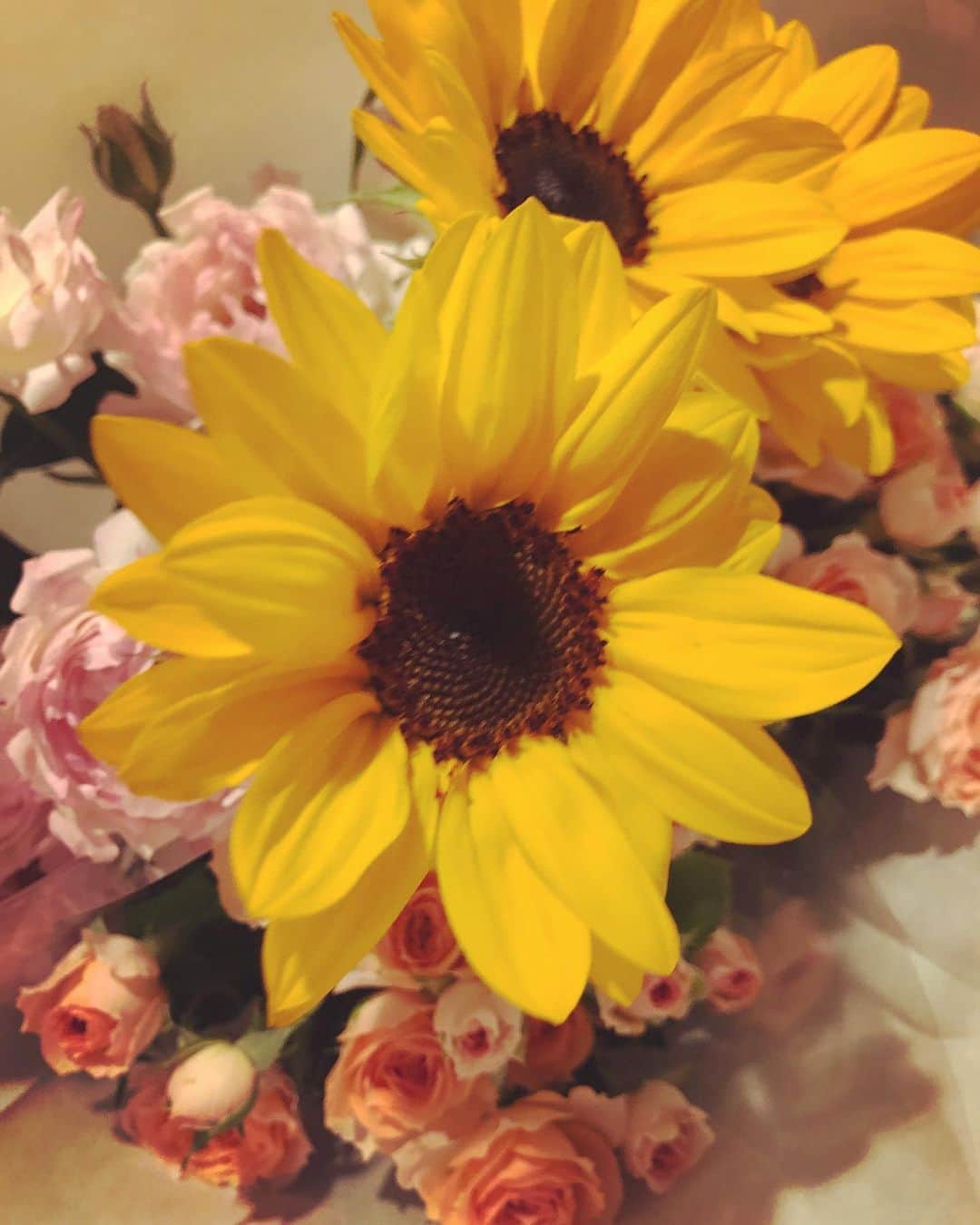 島袋寛子さんのインスタグラム写真 - (島袋寛子Instagram)「– 今日も〜店主が〜いっぱいおまけしてくれたー🎶(๑˃̵ᴗ˂̵)🎶 – バラさんは、よく水切りした方がよくて、花がひらいたら、短めにしてあげた方がよいそうです。  店主。 いつもありがとうございます🙏💕 。  こんなふうにコミュニケーションをとれることに喜びを感じます。 幸せを感じます。  感謝。 – – – #かわいいね #綺麗だね #ありがとう♡ #お花さん #美しい」6月24日 19時55分 - hiroko.shimabukuro