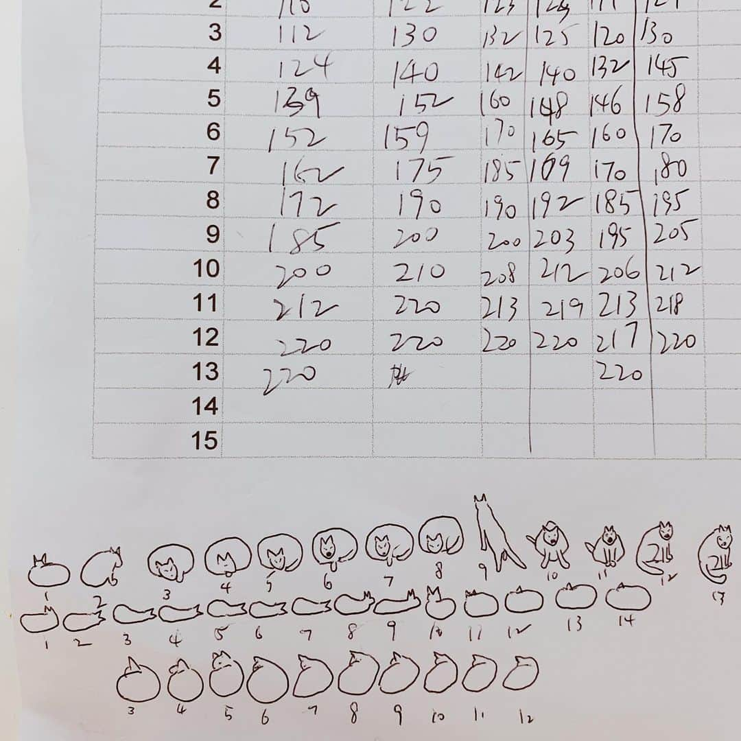 門小雷さんのインスタグラム写真 - (門小雷Instagram)「我會在家中炒咖啡豆，每分鐘要記錄豆的温度，只記錄豆温度的話感覺很漫長，所以順便也記錄一下貓每分鐘的狀態。」6月24日 20時22分 - littlethunder